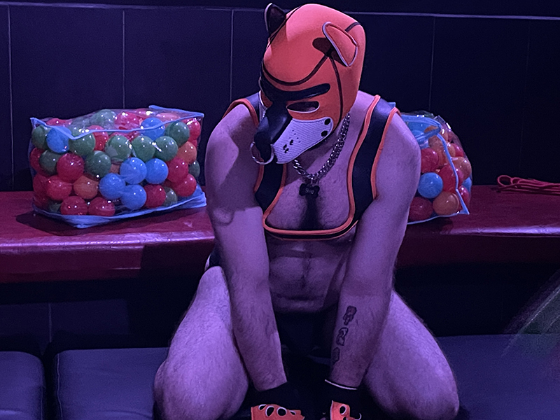 Puppy Play