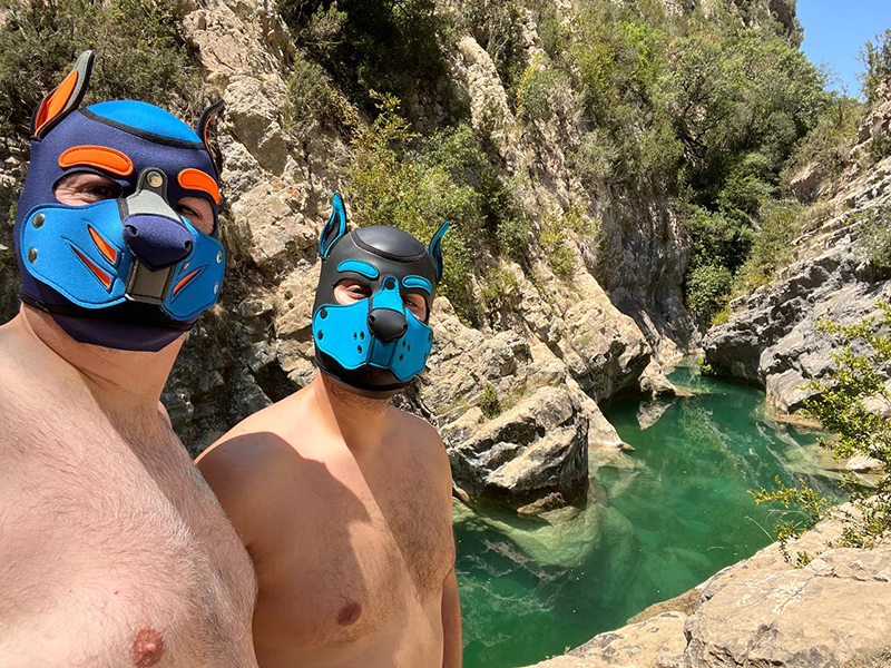 Wild Puppies